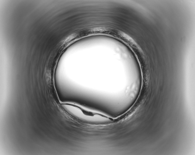 X0000084550825200703161645