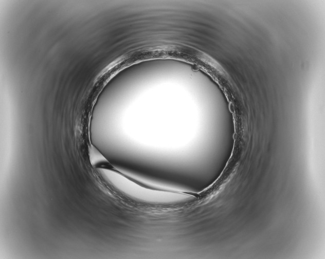 X0000084550826200703161645