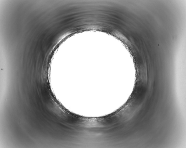 X0000084550828200703161645