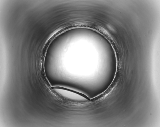 X0000084550829200703161645