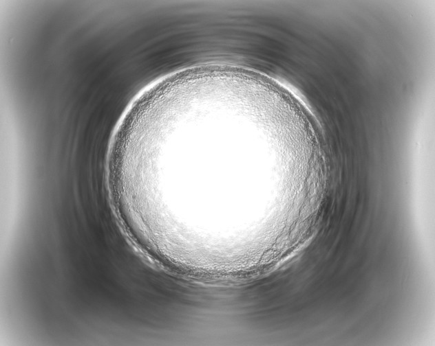 X0000084550832200703161645