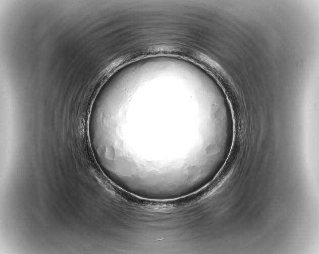 X0000084550833200703161645