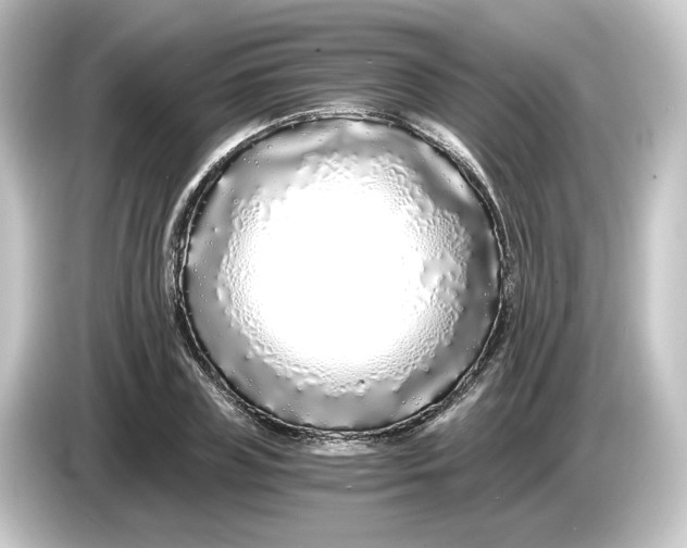 X0000084550835200703161645