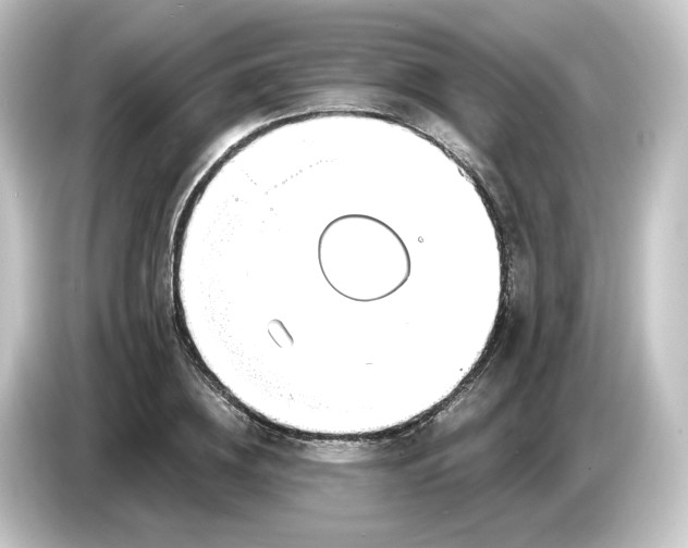 X0000084550836200703161645