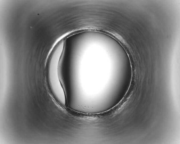 X0000084550838200703161645