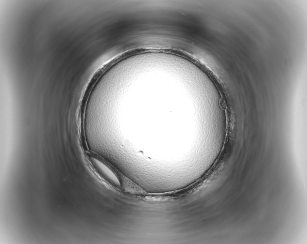 X0000084550840200703161645