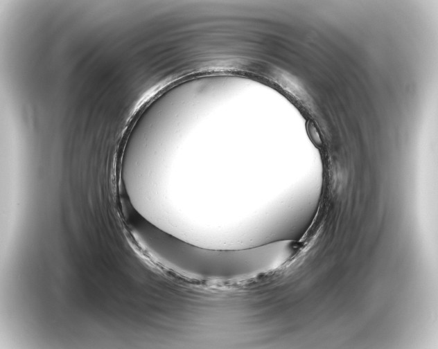 X0000084550842200703161645