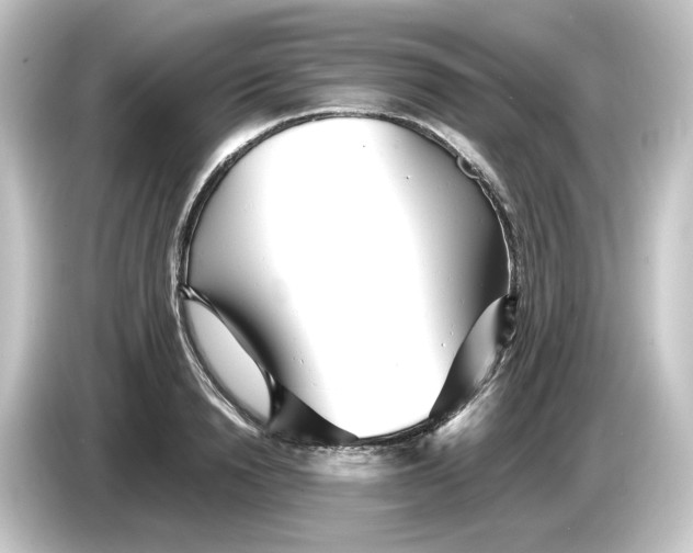 X0000084550846200703161645