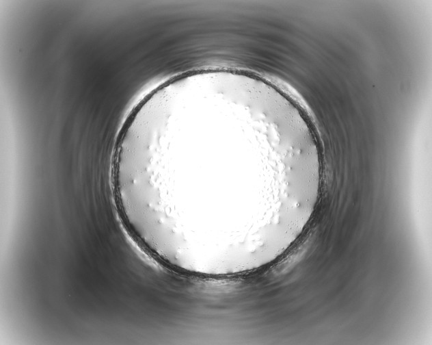 X0000084550847200703161645