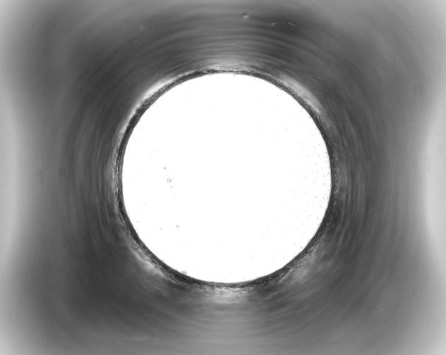 X0000084550848200703161645