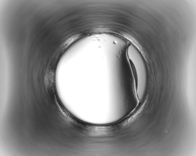 X0000084550849200703161645