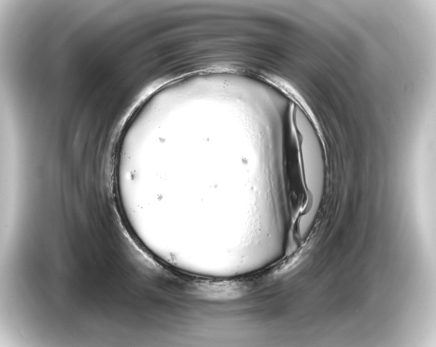 X0000084550851200703161645