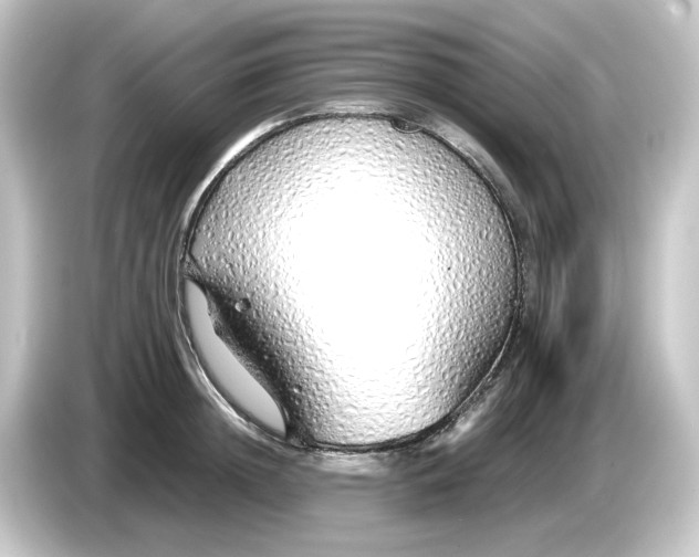 X0000084550852200703161645