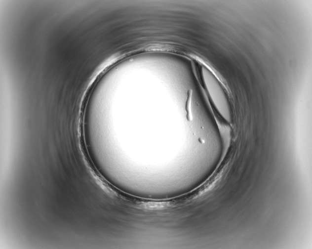 X0000084550853200703161645