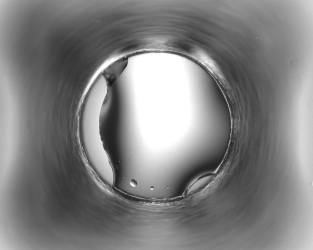 X0000084550854200703161645