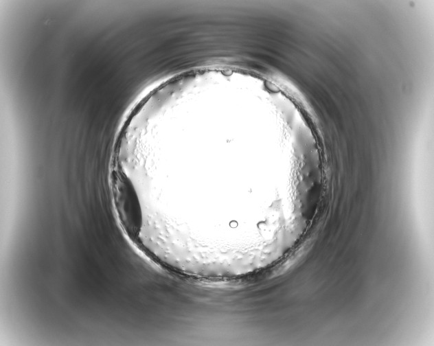 X0000084550855200703161645