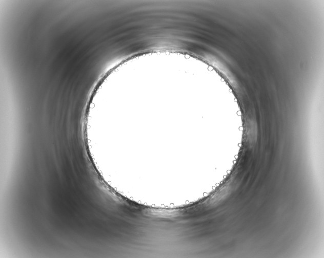 X0000084550856200703161645