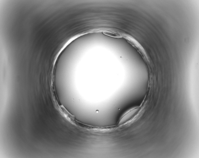 X0000084550860200703161645