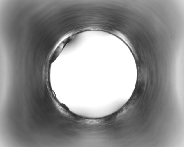 X0000084550861200703161645