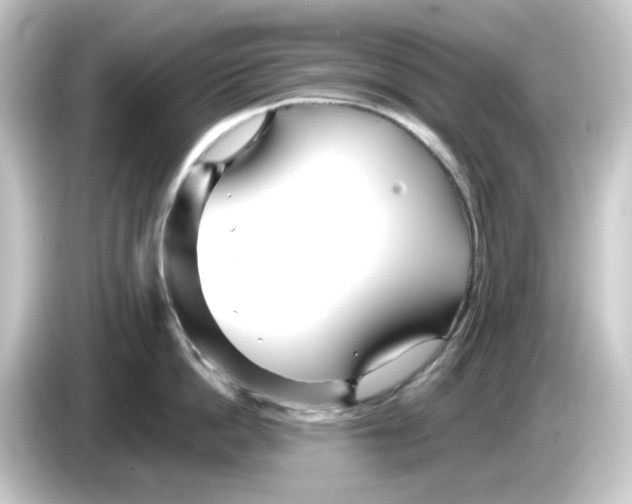 X0000084550862200703161645