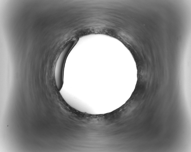 X0000084550865200703161645