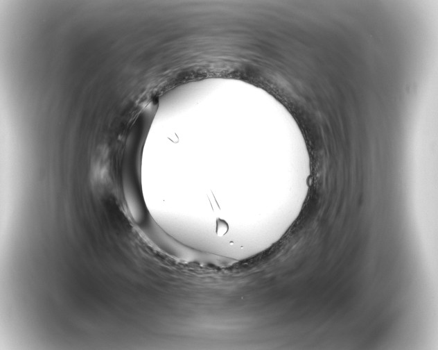 X0000084550866200703161645