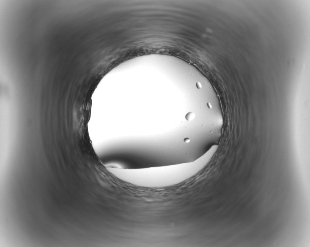 X0000084550868200703161645