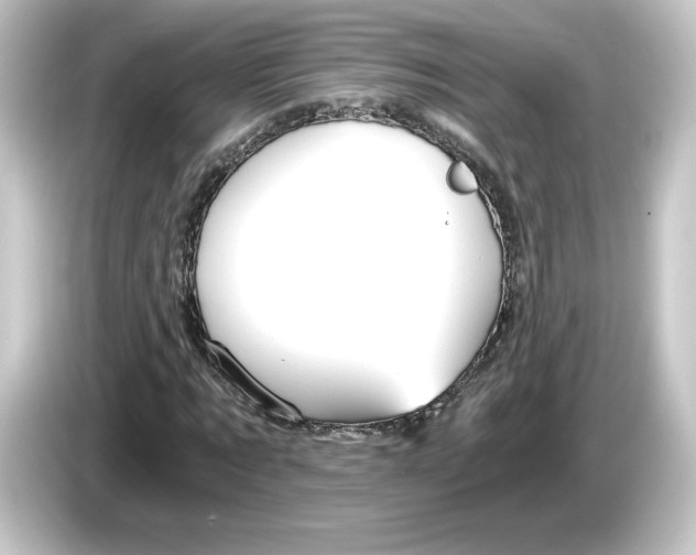 X0000084550869200703161645