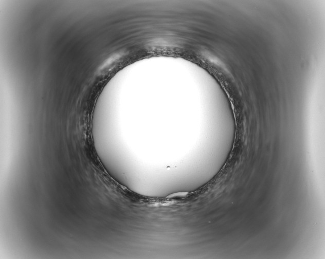 X0000084550870200703161645