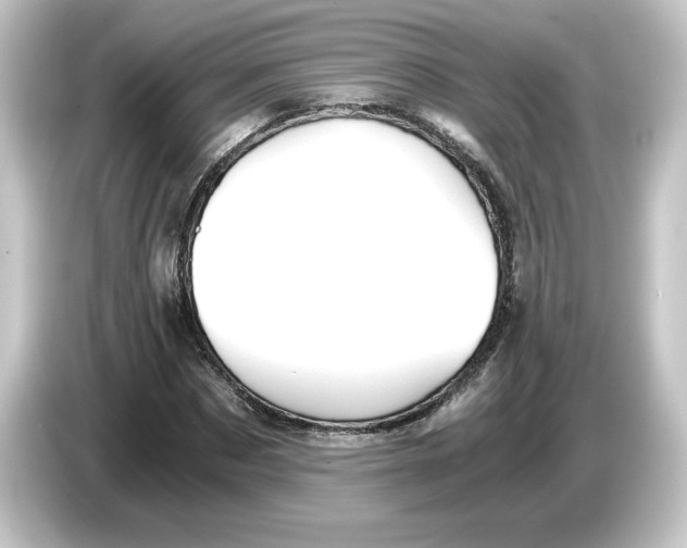 X0000084550873200703161645