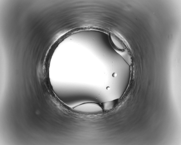 X0000084550876200703161644