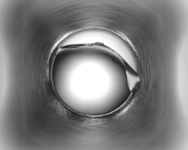 X0000084550877200703161644