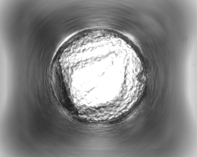 X0000084550879200703161644