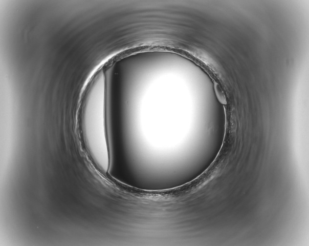 X0000084550880200703161644