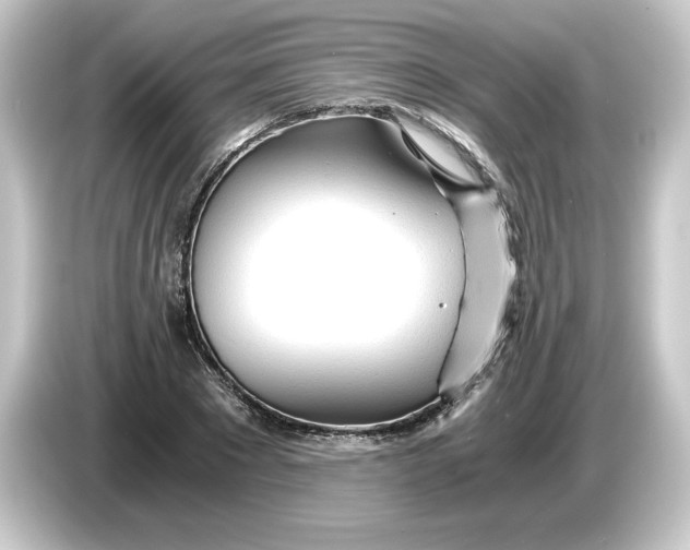 X0000084550881200703161644