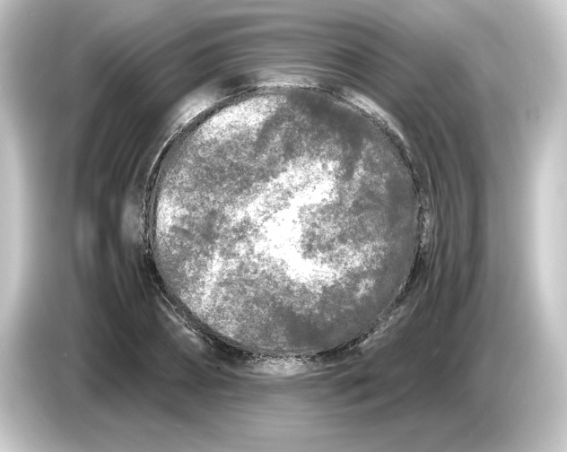 X0000084550882200703161644