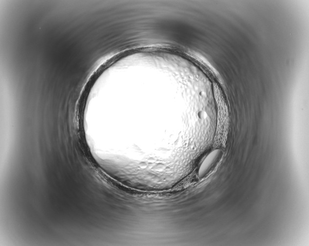 X0000084550883200703161644