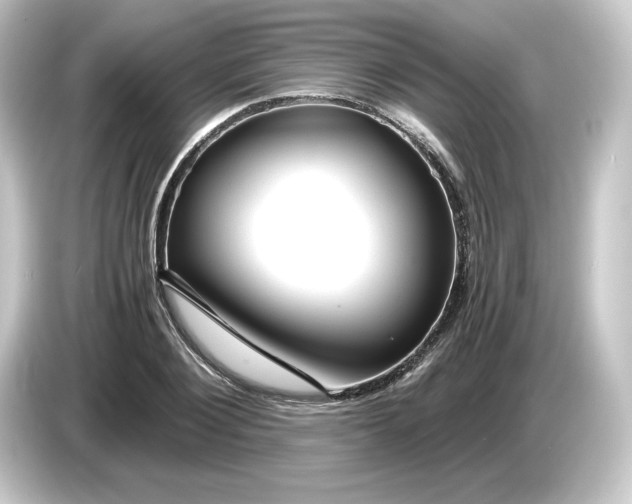 X0000084550884200703161644