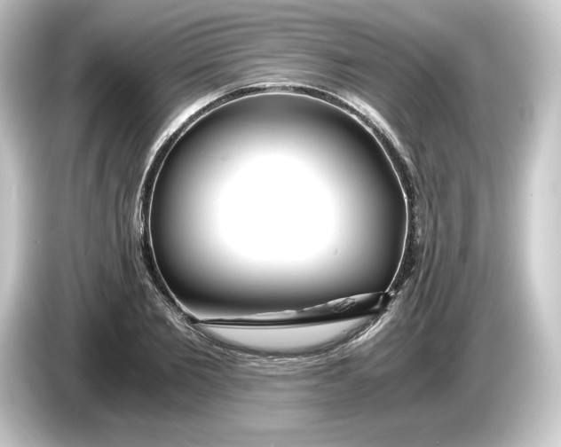 X0000084550885200703161644