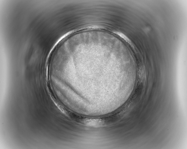 X0000084550886200703161644