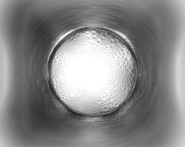 X0000084550887200703161644