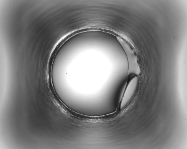 X0000084550888200703161644