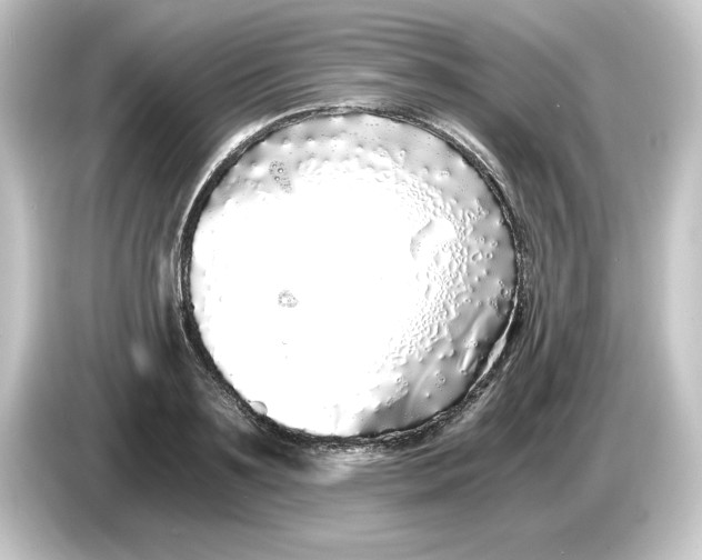 X0000084550891200703161644