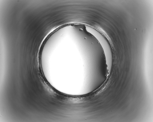 X0000084550892200703161644