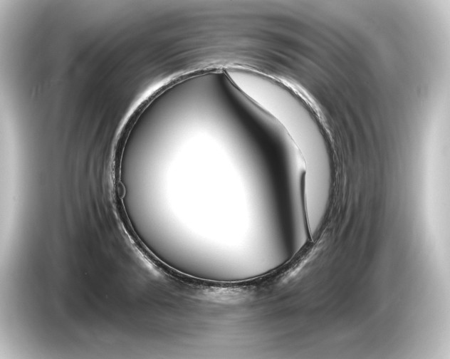 X0000084550894200703161644