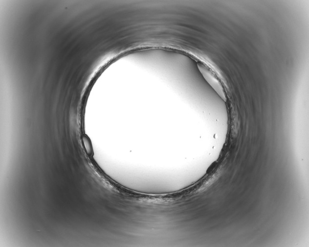 X0000084550896200703161644