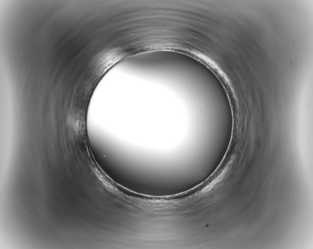 X0000084550897200703161644