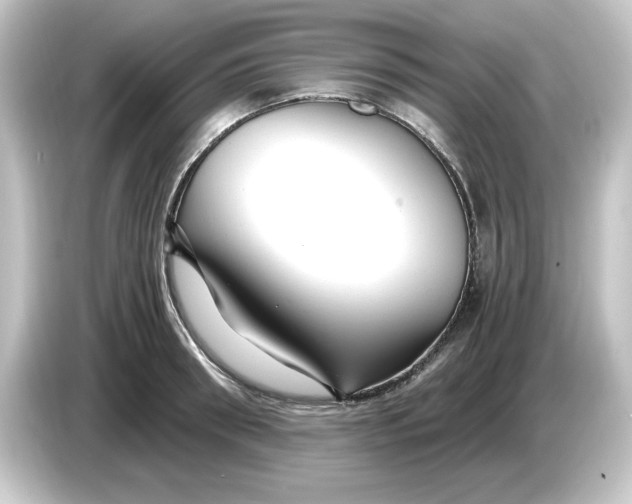 X0000084550898200703161644