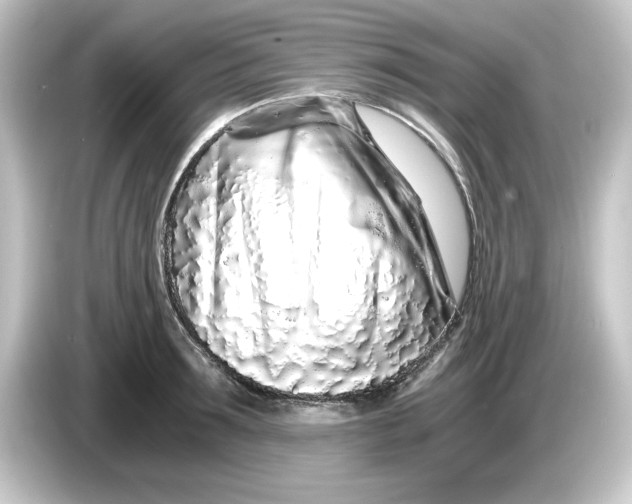 X0000084550899200703161644