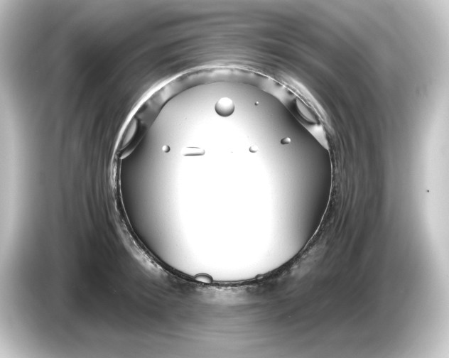 X0000084550900200703161644